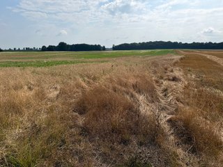 Property photo 110 - LAND AUCTION - 404+/-ACRES OFFERED IN 17 TRACTS IN WILLIAMS COUNTY, OHIO AND DEKALB COUNTY, INDIANA