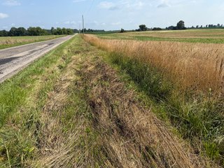 Property photo 109 - LAND AUCTION - 404+/-ACRES OFFERED IN 17 TRACTS IN WILLIAMS COUNTY, OHIO AND DEKALB COUNTY, INDIANA