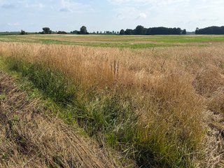 Property photo 108 - LAND AUCTION - 404+/-ACRES OFFERED IN 17 TRACTS IN WILLIAMS COUNTY, OHIO AND DEKALB COUNTY, INDIANA
