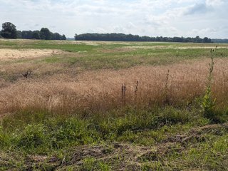 Property photo 103 - LAND AUCTION - 404+/-ACRES OFFERED IN 17 TRACTS IN WILLIAMS COUNTY, OHIO AND DEKALB COUNTY, INDIANA