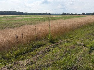 Property photo 102 - LAND AUCTION - 404+/-ACRES OFFERED IN 17 TRACTS IN WILLIAMS COUNTY, OHIO AND DEKALB COUNTY, INDIANA