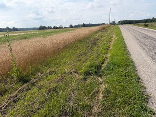 Property photo 101 - LAND AUCTION - 404+/-ACRES OFFERED IN 17 TRACTS IN WILLIAMS COUNTY, OHIO AND DEKALB COUNTY, INDIANA