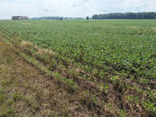 Property photo 98 - LAND AUCTION - 404+/-ACRES OFFERED IN 17 TRACTS IN WILLIAMS COUNTY, OHIO AND DEKALB COUNTY, INDIANA