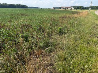 Property photo 94 - LAND AUCTION - 404+/-ACRES OFFERED IN 17 TRACTS IN WILLIAMS COUNTY, OHIO AND DEKALB COUNTY, INDIANA