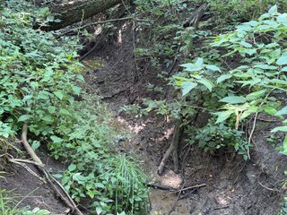 Property photo 90 - LAND AUCTION - 404+/-ACRES OFFERED IN 17 TRACTS IN WILLIAMS COUNTY, OHIO AND DEKALB COUNTY, INDIANA