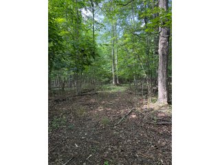 Property photo 58 - LAND AUCTION - 404+/-ACRES OFFERED IN 17 TRACTS IN WILLIAMS COUNTY, OHIO AND DEKALB COUNTY, INDIANA