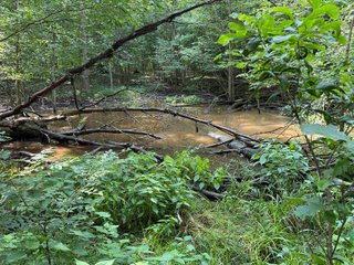 Property photo 62 - LAND AUCTION - 404+/-ACRES OFFERED IN 17 TRACTS IN WILLIAMS COUNTY, OHIO AND DEKALB COUNTY, INDIANA