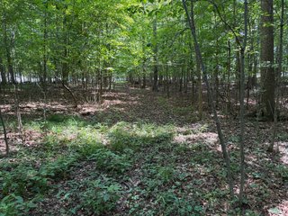 Property photo 63 - LAND AUCTION - 404+/-ACRES OFFERED IN 17 TRACTS IN WILLIAMS COUNTY, OHIO AND DEKALB COUNTY, INDIANA