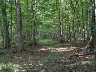 Property photo 64 - LAND AUCTION - 404+/-ACRES OFFERED IN 17 TRACTS IN WILLIAMS COUNTY, OHIO AND DEKALB COUNTY, INDIANA