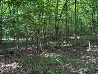 Property photo 65 - LAND AUCTION - 404+/-ACRES OFFERED IN 17 TRACTS IN WILLIAMS COUNTY, OHIO AND DEKALB COUNTY, INDIANA