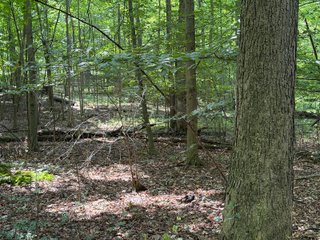 Property photo 66 - LAND AUCTION - 404+/-ACRES OFFERED IN 17 TRACTS IN WILLIAMS COUNTY, OHIO AND DEKALB COUNTY, INDIANA