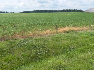 Property photo 68 - LAND AUCTION - 404+/-ACRES OFFERED IN 17 TRACTS IN WILLIAMS COUNTY, OHIO AND DEKALB COUNTY, INDIANA
