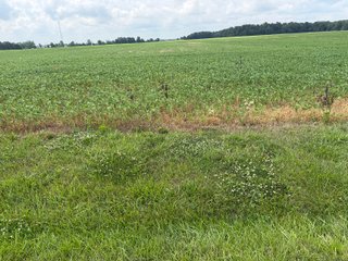 Property photo 67 - LAND AUCTION - 404+/-ACRES OFFERED IN 17 TRACTS IN WILLIAMS COUNTY, OHIO AND DEKALB COUNTY, INDIANA