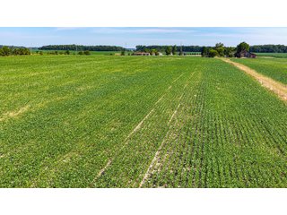 Property photo 4 - LAND AUCTION - 404+/-ACRES OFFERED IN 17 TRACTS IN WILLIAMS COUNTY, OHIO AND DEKALB COUNTY, INDIANA