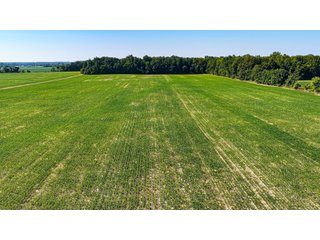 Property photo 5 - LAND AUCTION - 404+/-ACRES OFFERED IN 17 TRACTS IN WILLIAMS COUNTY, OHIO AND DEKALB COUNTY, INDIANA