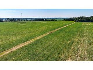 Property photo 6 - LAND AUCTION - 404+/-ACRES OFFERED IN 17 TRACTS IN WILLIAMS COUNTY, OHIO AND DEKALB COUNTY, INDIANA