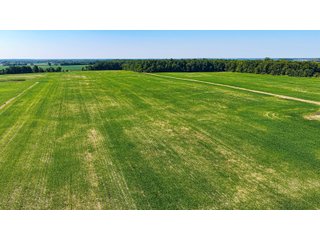 Property photo 8 - LAND AUCTION - 404+/-ACRES OFFERED IN 17 TRACTS IN WILLIAMS COUNTY, OHIO AND DEKALB COUNTY, INDIANA