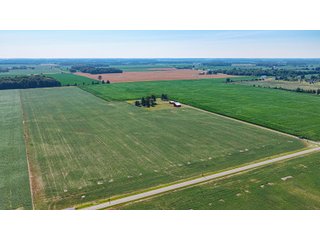 Property photo 9 - LAND AUCTION - 404+/-ACRES OFFERED IN 17 TRACTS IN WILLIAMS COUNTY, OHIO AND DEKALB COUNTY, INDIANA