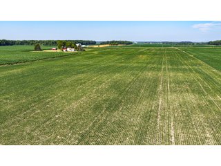 Property photo 12 - LAND AUCTION - 404+/-ACRES OFFERED IN 17 TRACTS IN WILLIAMS COUNTY, OHIO AND DEKALB COUNTY, INDIANA