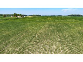 Property photo 13 - LAND AUCTION - 404+/-ACRES OFFERED IN 17 TRACTS IN WILLIAMS COUNTY, OHIO AND DEKALB COUNTY, INDIANA