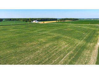 Property photo 15 - LAND AUCTION - 404+/-ACRES OFFERED IN 17 TRACTS IN WILLIAMS COUNTY, OHIO AND DEKALB COUNTY, INDIANA