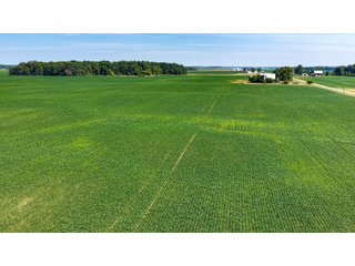 Property photo 19 - LAND AUCTION - 404+/-ACRES OFFERED IN 17 TRACTS IN WILLIAMS COUNTY, OHIO AND DEKALB COUNTY, INDIANA