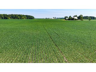Property photo 20 - LAND AUCTION - 404+/-ACRES OFFERED IN 17 TRACTS IN WILLIAMS COUNTY, OHIO AND DEKALB COUNTY, INDIANA