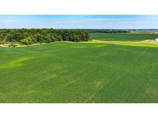 Property photo 21 - LAND AUCTION - 404+/-ACRES OFFERED IN 17 TRACTS IN WILLIAMS COUNTY, OHIO AND DEKALB COUNTY, INDIANA