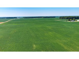 Property photo 22 - LAND AUCTION - 404+/-ACRES OFFERED IN 17 TRACTS IN WILLIAMS COUNTY, OHIO AND DEKALB COUNTY, INDIANA