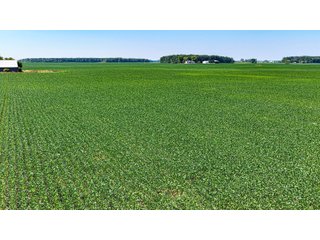 Property photo 24 - LAND AUCTION - 404+/-ACRES OFFERED IN 17 TRACTS IN WILLIAMS COUNTY, OHIO AND DEKALB COUNTY, INDIANA