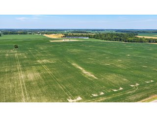 Property photo 27 - LAND AUCTION - 404+/-ACRES OFFERED IN 17 TRACTS IN WILLIAMS COUNTY, OHIO AND DEKALB COUNTY, INDIANA
