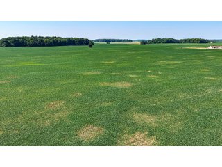 Property photo 31 - LAND AUCTION - 404+/-ACRES OFFERED IN 17 TRACTS IN WILLIAMS COUNTY, OHIO AND DEKALB COUNTY, INDIANA