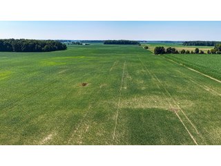 Property photo 34 - LAND AUCTION - 404+/-ACRES OFFERED IN 17 TRACTS IN WILLIAMS COUNTY, OHIO AND DEKALB COUNTY, INDIANA