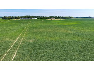 Property photo 35 - LAND AUCTION - 404+/-ACRES OFFERED IN 17 TRACTS IN WILLIAMS COUNTY, OHIO AND DEKALB COUNTY, INDIANA