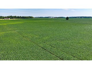 Property photo 2 - LAND AUCTION - 404+/-ACRES OFFERED IN 17 TRACTS IN WILLIAMS COUNTY, OHIO AND DEKALB COUNTY, INDIANA