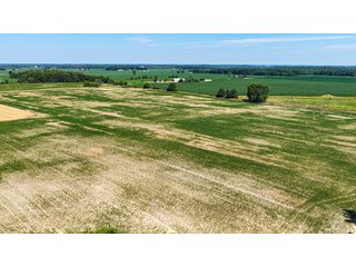 Property photo 49 - LAND AUCTION - 404+/-ACRES OFFERED IN 17 TRACTS IN WILLIAMS COUNTY, OHIO AND DEKALB COUNTY, INDIANA