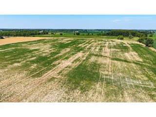 Property photo 51 - LAND AUCTION - 404+/-ACRES OFFERED IN 17 TRACTS IN WILLIAMS COUNTY, OHIO AND DEKALB COUNTY, INDIANA