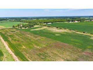 Property photo 43 - LAND AUCTION - 404+/-ACRES OFFERED IN 17 TRACTS IN WILLIAMS COUNTY, OHIO AND DEKALB COUNTY, INDIANA