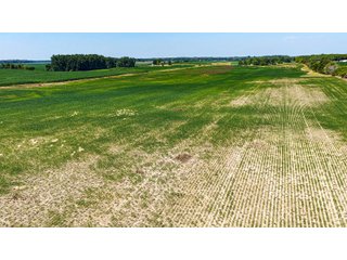 Property photo 42 - LAND AUCTION - 404+/-ACRES OFFERED IN 17 TRACTS IN WILLIAMS COUNTY, OHIO AND DEKALB COUNTY, INDIANA