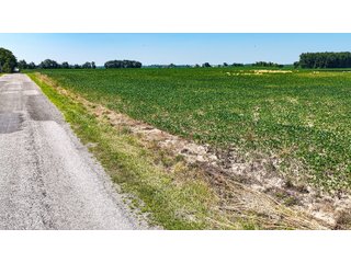Property photo 41 - LAND AUCTION - 404+/-ACRES OFFERED IN 17 TRACTS IN WILLIAMS COUNTY, OHIO AND DEKALB COUNTY, INDIANA