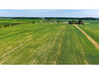 Property photo 37 - LAND AUCTION - 404+/-ACRES OFFERED IN 17 TRACTS IN WILLIAMS COUNTY, OHIO AND DEKALB COUNTY, INDIANA