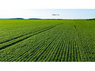 Property photo 1 - QUALITY LAND AUCTION - 383+/-ACRES OFFERED IN 10 TRACTS IN HUNTINGTON COUNTY, INDIANA