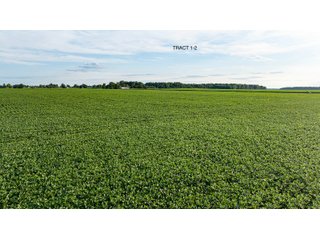 Property photo 2 - QUALITY LAND AUCTION - 383+/-ACRES OFFERED IN 10 TRACTS IN HUNTINGTON COUNTY, INDIANA