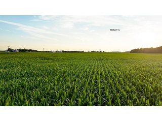 Property photo 12 - QUALITY LAND AUCTION - 383+/-ACRES OFFERED IN 10 TRACTS IN HUNTINGTON COUNTY, INDIANA