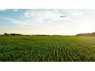 Property photo 14 - QUALITY LAND AUCTION - 383+/-ACRES OFFERED IN 10 TRACTS IN HUNTINGTON COUNTY, INDIANA