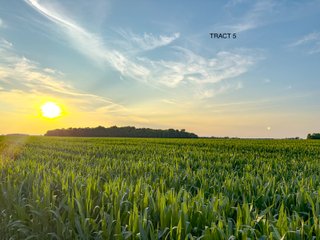 Property photo 15 - QUALITY LAND AUCTION - 383+/-ACRES OFFERED IN 10 TRACTS IN HUNTINGTON COUNTY, INDIANA