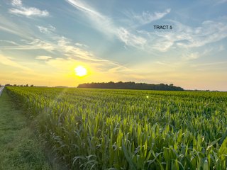 Property photo 16 - QUALITY LAND AUCTION - 383+/-ACRES OFFERED IN 10 TRACTS IN HUNTINGTON COUNTY, INDIANA