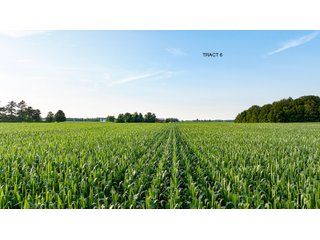 Property photo 18 - QUALITY LAND AUCTION - 383+/-ACRES OFFERED IN 10 TRACTS IN HUNTINGTON COUNTY, INDIANA