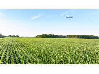 Property photo 19 - QUALITY LAND AUCTION - 383+/-ACRES OFFERED IN 10 TRACTS IN HUNTINGTON COUNTY, INDIANA