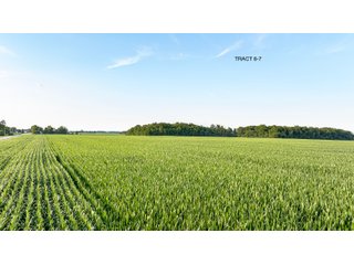 Property photo 21 - QUALITY LAND AUCTION - 383+/-ACRES OFFERED IN 10 TRACTS IN HUNTINGTON COUNTY, INDIANA